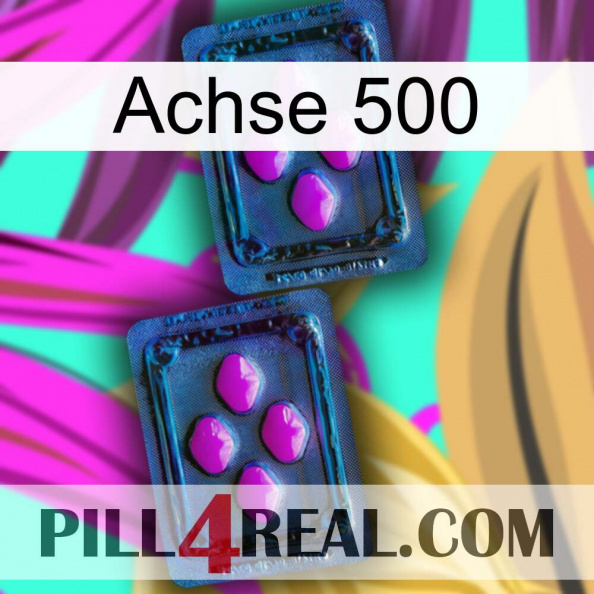 Axcil 500 03.jpg